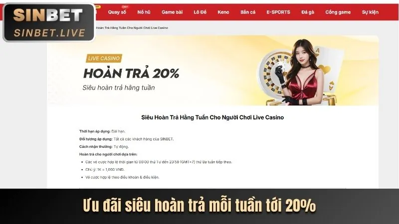 Hoàn trả hàng ngày ok365live